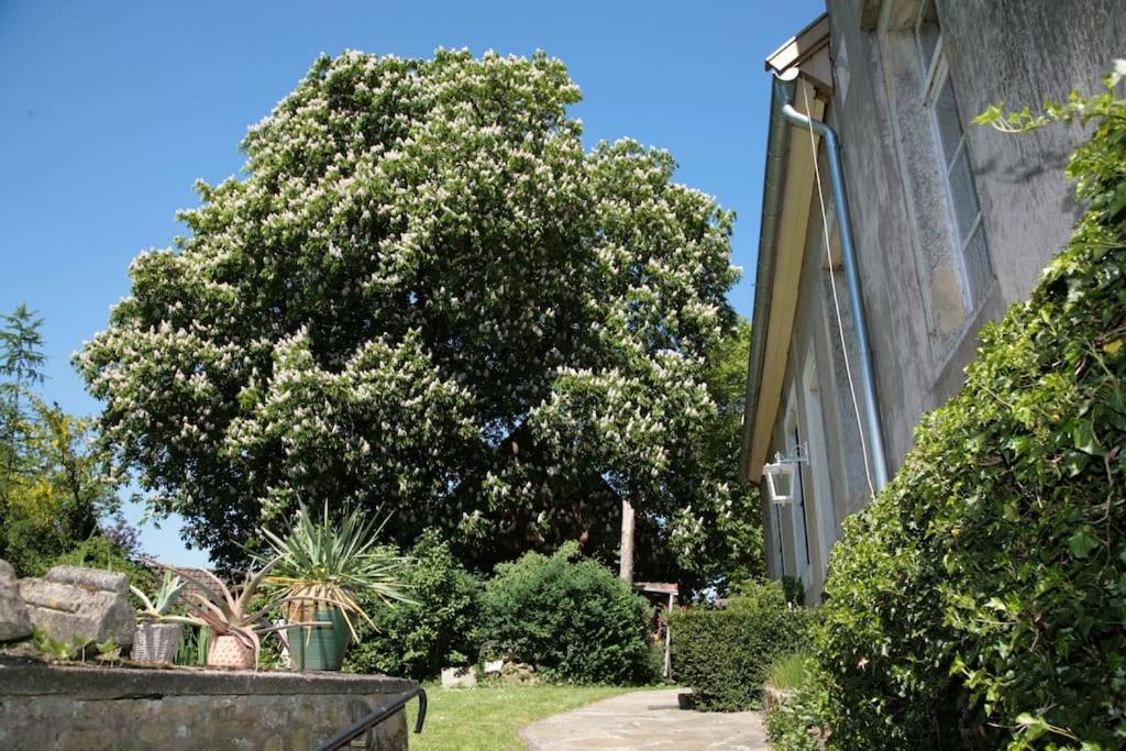 HeekHaus Keppelborg: Zi Antonia Mit Kirchplatzblickアパートメント エクステリア 写真